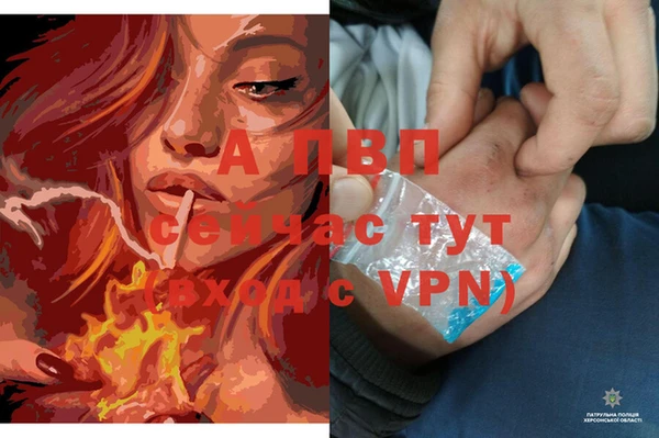 гашик Лихославль